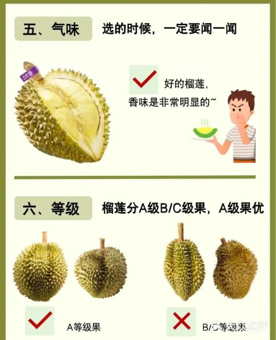 佳园路(地铁站)图片