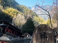 -林坑古村落