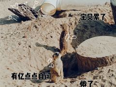 -武汉动物园