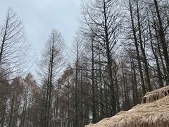 -山王坪喀斯特国家生态公园