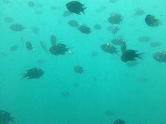 亚龙湾海底世界-亚龙湾海底世界
