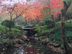 -杭州半山国家森林公园