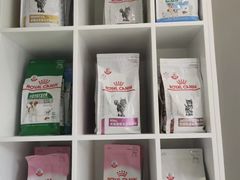 -关爱宠物医院·猫科中心·消化科(滨湖万达分院)