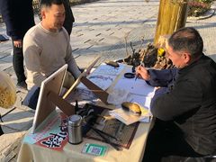 -合肥滨湖国家森林公园