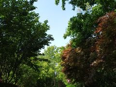 -南京市江宁方山