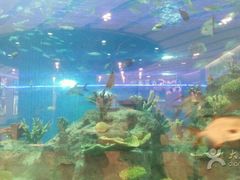 -常州海昌海洋探索馆