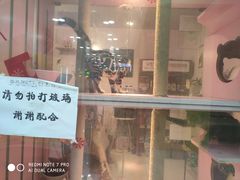 -三花喵·撸猫购宠·宠物生活馆(虹桥南丰城店)