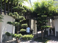 -宁波柏悦酒店·钱湖渔港