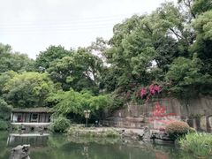 -忠山公园