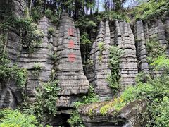 -梭布垭石林景区