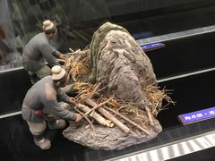 -上海观复博物馆