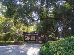 -胡里山炮台