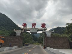 -牛背梁国家森林公园