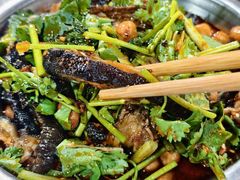 -小板凳(四公里店)