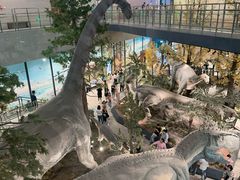 -湖南省地质博物馆