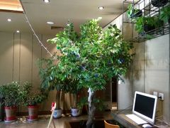 -蜀记火锅(南街店)