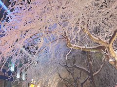 -庐山风景名胜区