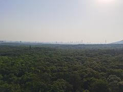 -灵谷景区