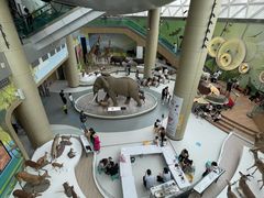 -陕西自然博物馆