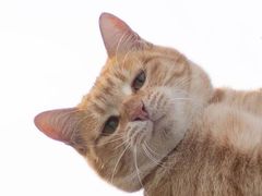 -海底捞火锅(海宁路店)