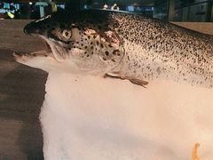 -乔哥铭洋海鲜自助(皇城恒隆广场店)