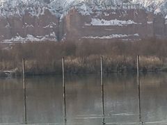-刘家峡水库