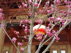 -大理文庙(大理古城)