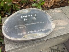 -广州从化都喜泰丽度假酒店温泉