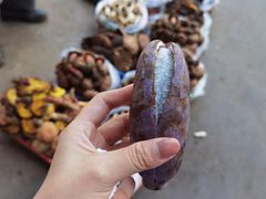 -云南木水花野生菌交易中心