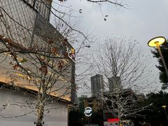 -龙湖重庆时代天街