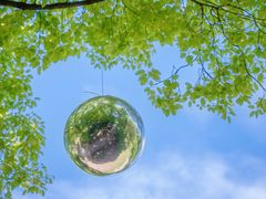 -上海共青森林公园