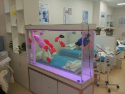 -痘庄科学祛痘国际连锁机构