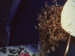 -星宿秘码(鼓浪屿老店)