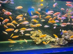 -沙沙哗啦海洋馆(华宇百花谷店)