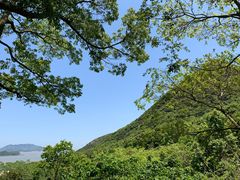 -桃花岛风景旅游区