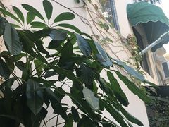 -默迹咖啡馆