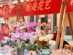 -友谊阳光城