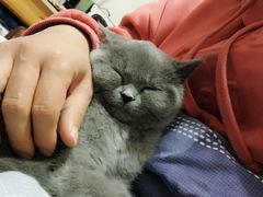 -喵汪宠物生活馆(涞坊路店)