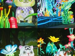 -海合安成都极地海洋公园