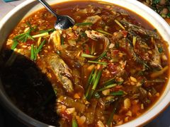 黄辣丁-柴门头啖汤·经典川菜·慢火汤品(锦城万达店)