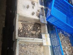 -拉完海鲜大排档(温岭店)
