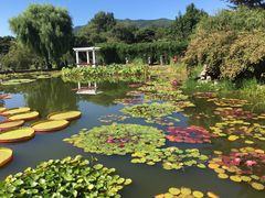 -国家植物园南园