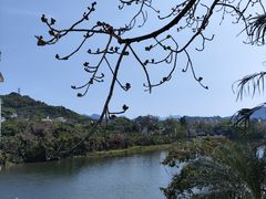 -广州市流溪河国家森林公园