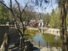 -香山公园
