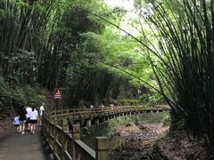-凤栖山