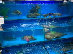 -盒马鲜生(馥邦国际店)