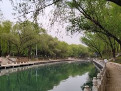 -南长河公园