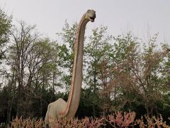 -青龙湖公园
