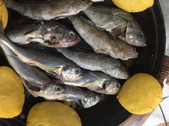 -宾朋海鲜美食餐厅·特色美食(兴海路店)