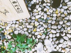 -中国油画院咖啡馆